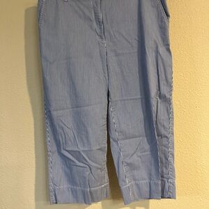 Talbots Blue Striped Cotton Wide Cropped Pants